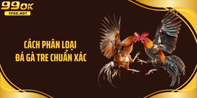 Cách phân loại đá gà tre chuẩn xác