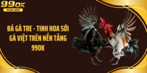 Đá gà tre tại 99ok